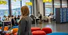 Hele 60,8 prosent kombinerte studier på universitets- eller høyskolenivå med jobbing. Illustrasjonsfoto.