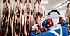 NORSK FORSVINNER: I kjøttbedriftene rekrutteres det fra både Europa og Sør-Amerika for å få tak i nok fagfolk. Norsk er i ferd med å forsvinne i kjøttskjærer-avdelingene i store bedrifter som Nortura og Fatland.