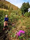 STILLER OPP: Alle som kunne stilte til fiberdugnad i Neset i fjor høst.
