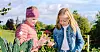 SAMLER FRØ: Sofie Rolstad  Martinsen (8) (til venstre) og Vera Rennie-Ryen (8) samler frø fra  ringblomster som de skal så i  skolehagen neste vår.