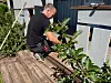 – Så lenge systemet ikke legger tilrette, må det da være bra at folk har noe å gå til? Heller enn nav, sier Cato Nysveen om kritikken mot Luados modell.