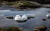 «COLUMNA TRANSATLANTICA»: Jan Freuchen har kalt kunstverket Den transatlantiske søylen. Folk kaller den ormen, etter Midgardsormen.