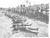 Ved massakeren i My Lai i 1968, ble 500 menn, kvinner og barn drept av amerikanske styrker. I alt ble to millioner sivile vietnamesere drept i vietnamkrigen.