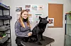 HUNDESTELL: En egen avdeling for stell av hund er en del av tilbudet til elevene på hest- og dyrefag. Her har Emma Charlotte Trosterud lærerens hund, Wita, på bordet.
