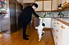 HUNDEGLAD: Susanne Abelsen har lært sin ni år gamle hund, jack russell terrieren Nico, mange triks. Her hjemme på kjøkkengulvet i Drøbak.