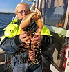 – Hummerfiske er lykke for meg. Da er det hyggelig å be familie og venner på et kulinarisk måltid med god drikke til når senhøsten og vinteren kommer, sier Merete.
