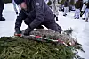 EKSTRA MANNSKAP: Ole Knut Steinset har også mange års erfaring med oppdrag knyttet til de store rovdyra. Han har kontor i Gausdal og har kommet til Flisa og ulvejakta fordi det er behov for mer mannskap nå.
