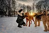 Truls (f.v) og Murphy blir glade av hverandre og hilser gjerne også på Jeanette Lea Romslo på hundejordet.  Det er noe slikt hun gjerne skulle opplevd i hjemkommunen.