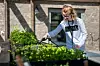Maria Helland og de andre på dagsenteret hjelper til i grønnsakshagen. Belønningen er at de én gang i uka får servert lunsj med ingredienser fra grønnsakshagen i sommerhalvåret.