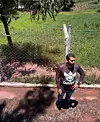 En innsatt ved Apac-fengselet i Brasil tar imot besøkende ved porten til fengselet. Gjerdet er ikke satt opp for å holde de innsatte på plass, men for at dyra ikke skal rømme.
