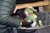 GRØNNSAKER: I denne søppelkassen fant vi forskjellige grønnsaker og frukt som er fullt spiselige.