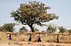 TUNG BØR: Kvinner i Sør-Sudan jobber hardt, men har liten verdi. De eier ikke jord, og når mannen dør, arves de av en av hans brødre.  I den patriarkalske kulturen anses kvinnen som mannens eiendom, og hun er ekstremt utsatt for vold. Kvinnene på bildet sørger for tak til familiens stråhytte.