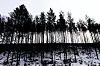 KARBONLAGER: Halvparten av CO₂-utslippene i Norge lagres her.