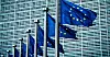 Man kan like det eller ikke, men alternativet til EØS er fullt medlemskap i EU, skriver Kjell Werner.