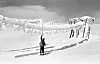 ISLAST: Dette bildet tatt i 1961 viser islast på kraftlinjer i Lønahorgi. Negativene tilhører Bjørn Egil Nygaard.