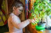 ANSVARSFULL: Ingrid på fem år tar oppgaven med å vanne tomatplantene på alvor. Det er ingen fare for at de skal tørste.