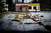 Fraflyttede hus og nedgrodd asfalt fins jo mange steder i verden, men i evakueringssonen rundt Fukushima-verket ser alt sånn ut. Det er veldig vanskelig å få folk til å flytte tilbake.