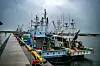 Fiskerne langs kysten får bare fiske i bestemte perioder. Noe av det mest kontroversielle ved opprydningen av kraftverket, er at vannet som blir brukt til nedkjøling av reaktorkjernen slippes ut i havet. Det renses riktignok for radioaktivitet først, men det krangles om rensingen er tilstrekkelig. Og flere land har sluttet å importere fisk herfra.