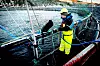 RIKDOM I MERDER: Mange yrkesdykkere jobber fra båt og leverer tjenester til blant annet oppdrettsnæringen.