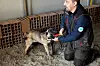 FLINK BISK: Turnus fant den bittelille gummibiten i en av musteinene. Det belønnes med kos, lek med hundetrener Omer Mehic og favorittleken - en rød «kong».