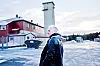 ENDRING: Øyvind Ryan kom til et autoritært system da han for første gang arbeidet i Verdal fengsel i 2002. Oppmykningen av fengslene kommer på overtid, mener han.