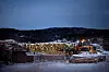 LOKALT: Tømmeret henter Arbor fra skogene i Hattfjelldal og omkringliggende kommuner, fra Saltfjellet og ned til Trøndelagsgrensen.