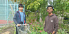Younis (16) og Sanjay (18) har sommerjobb i bydel Grorud.