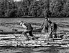 Fløtere på en tømmerhaug i Strandfossen i Glomma,﻿ Elverum, Hedmark i 1985.