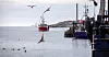 FORTSATT FISKE: Fra sin base i Utgårdskilen på Hvaler skal elevene på fiske og fangst få fortsette med nettopp fiske.