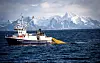 FISKE MED SNURREVAD: Snurrevaden settes ut ved å kaste ei bøye med et langt vadtau. Tauet settes ut i en lang bue, før selve nota.  I andre enden av nota, er et tau som man sleper tilbake til den første bøya. Båten tar ombord bøya, og begynner å slepe snurrevaden etter seg.  Etter en stund vil buen som ble satt på tauene strekke seg ut, og nota får mindre åpning. Når tauene har kommet helt sammen, begynner de å sveive inn snurrevaden.  Hele operasjonen tar rundt én time.