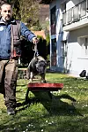 LITEN OG LEKEN: Lek er en viktig del av treningen til Turnus. Her får hun en løpetur i med hundetrener Omer Mehic.