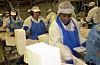 Det har vært avdekket flere eksempler på grov utnytting av utenlandsk arbeidskraft i fiskeindustrien. Nå er Nærings- og Nytelsesmiddelarbeiderforbundet beredt til å streike for å få ryddet opp.