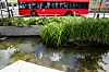 GRØNT: MDG vil ha flere blomsterenger og åpne bekker i byen. På Ensjø renner Hovinbekken, her med en flunkende ny el-buss i bakgrunnen.