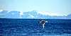 Det burde egentlig være unødvendig å si det, men Norge og Nord-Norge er rikt på mineraler, skriver Thomas Grønli Pettersen og Liv-Mette Storelvmo. (Illustrasjonsfoto)