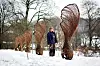 KUNST: Visst du at lønnetrærne bærer frukter? De kalles skrueflygere fordi de virrer rundt når de faller til bakken. I Botanisk hage har den britiske kunstneren Tom Hare gjenskapt skrueflygere, også kalt neser, som pileskulpturer. Liv Aarvoll går ofte langsmed alleen.