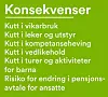 I videoen som Læringsverkstedet har lagt ut på Facebook-siden sin lister de opp konsekvenser av kuttet i pensjonstilskuddet. Skjermdump fra videoen.