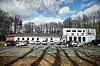 I SKOGEN: Noen få hundre meter fra Danmarks største fengsel, ligger danskene nyeste pop up-skole.