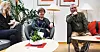 Elise Waagen, stortingsrepresentant (Ap), Mette Nord, leder i Fagforbundet og Jørn Eggum, leder i Fellesforbundet. Alle tre hilser den nye opplæringsloven velkommen.