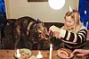 Pernille (14) mater den 16 år gamle hunden Jesper med pølser fra Strøm-Larsen. Ifølge matmor Ingrid har han blitt kresen på sine gamle dager.