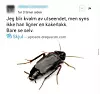 UBEHAG: Da Farukh Qureshi annonserte sitt kandidatur til Aps bystyreliste, ble han sammenlignet med et skadedyr.