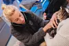 Katten Mille (12) er veldig syk og skal avlives. Her lytter Caroline på hjertet hennes før hun gir henne sovemiddelet og den dødelige sprøyta.