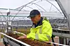 BEKYMRET: Myhrene har dyrket bær i såkalte jordbærtunneler i Lier i mange år. Får han ikke nok arbeidere kan de i verste fall gå konkurs.