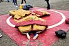 SUMOBRYTER: Hvor er åpningen? Mulig den drakta ble litt for stor for et ambisiøst brytertalent.