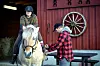 HEST ER BEST: Odd Kjøsnes vet ikke om det fins andre stallmestere i Norsk Tjenestemannslag. Han strammer stigbøylen til Pernille Sofie Julin Bjerknæs.