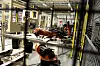 SUSER AVGÅRDE: Tre robotarmer på rad behandler ski-kjernene. Snart skal de til støping med topp og såle, der menneskehender er mer invovlert.