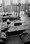 MANGLET BOSTED: På disse feltsengene ble pakistanere innkvartert på Majorstua skole i juli 1971.
