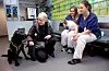 VENTEVÆRELSE: Kahlo, en 8,5 år gammel blanding av jaktlabrador og vanlig labrador, venter på behandling for et hovent ledd sammen med matmor Lise Østby. De to dyrepleierne hilser på pasienten.