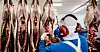 UTENLANDSK ARBEIDSKRAFT: Fra NNN-arbeiderens besøk hos Lierne Vilt i mai tidligere i år.
