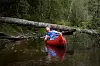 FRAM MED MOTORSAGA: Slike hindre er det færre av etter dugnadsinnsatsen på Mysen-elva. Men helt arbeidsledig blir nok dugnadsgjengen aldri.