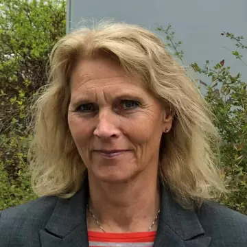 Divisjonsdirektør i Statens vegvesen